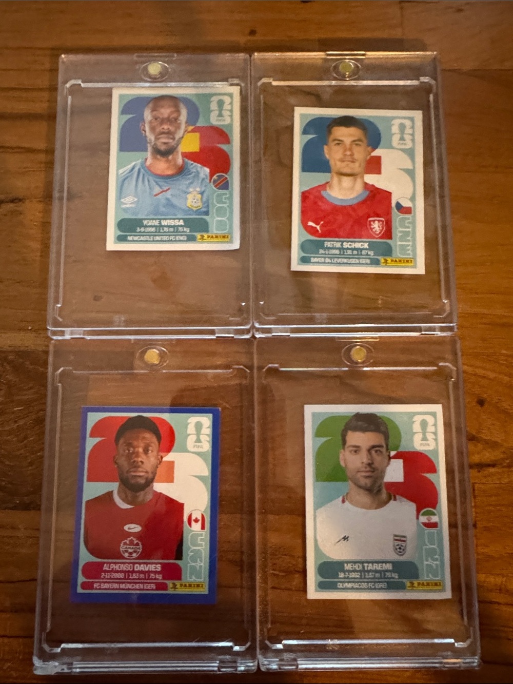Panini World Cup Sticks